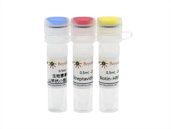 SABC-HRP Kit with Anti-Mouse IgG (IHC&ICC)